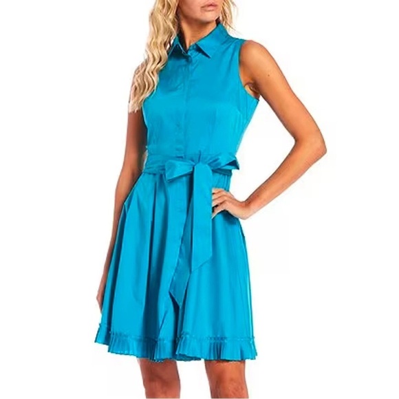 Alex Marie Dresses & Skirts - Alex Marie Button down Fit and Flair Dress